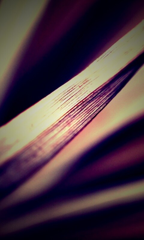 Сухое растение обои