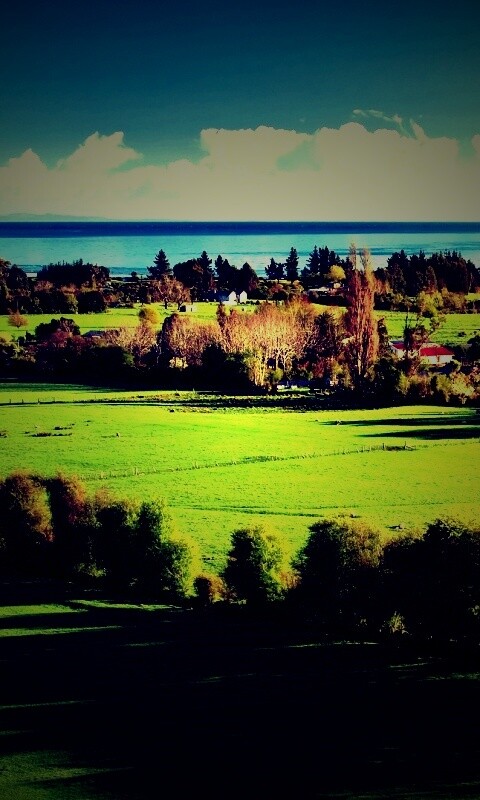 Сельская природа обои