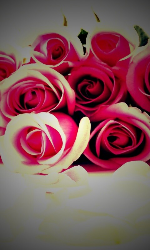Букет роз обои