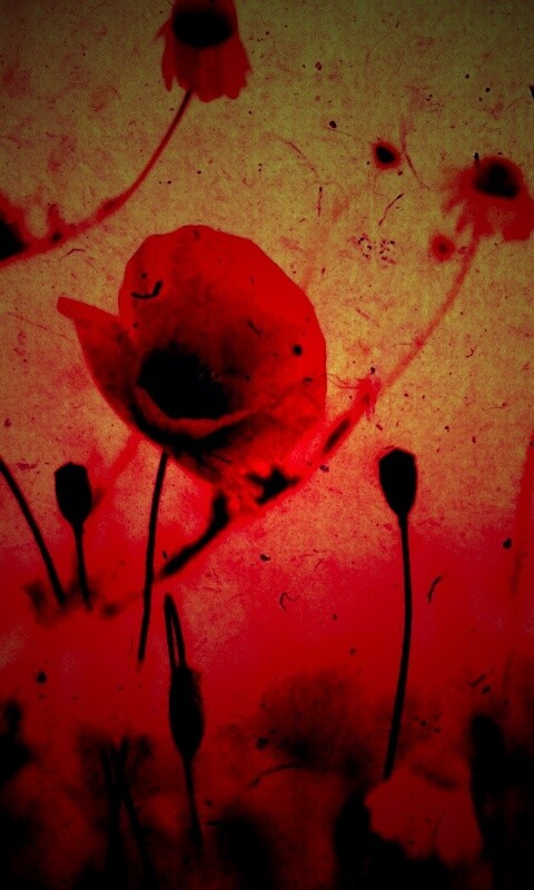 Кровавые цветы в стиле ретро обои