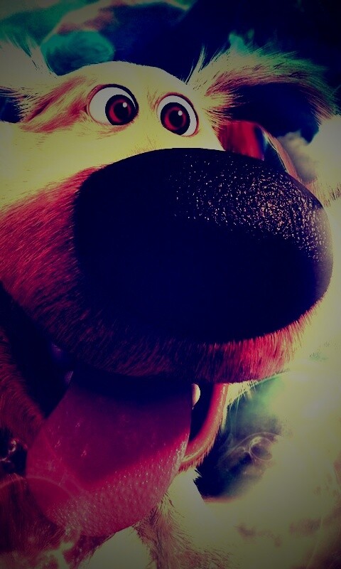 Собака из мультфильма Up обои