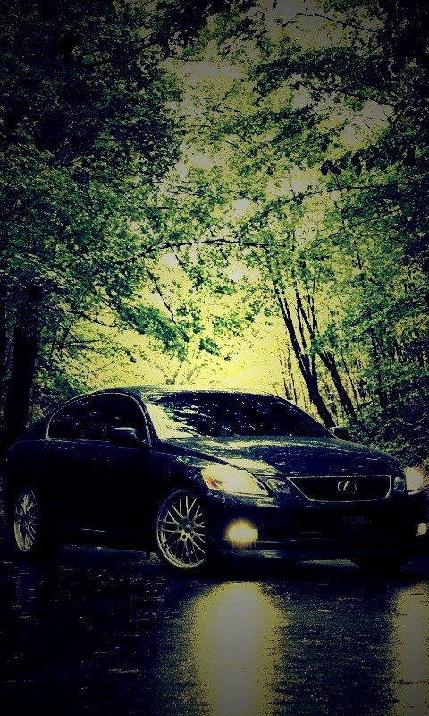Лексус на лесной дороге обои