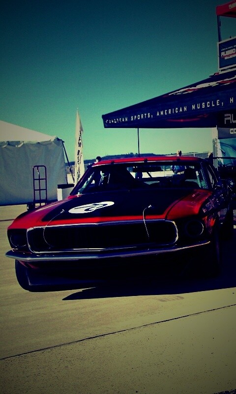 Мускул кары обои