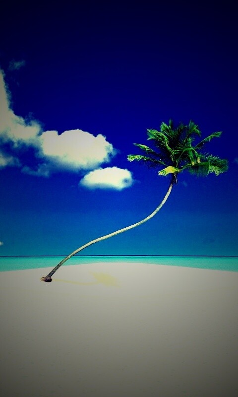 Идеальный пальмовый остров обои