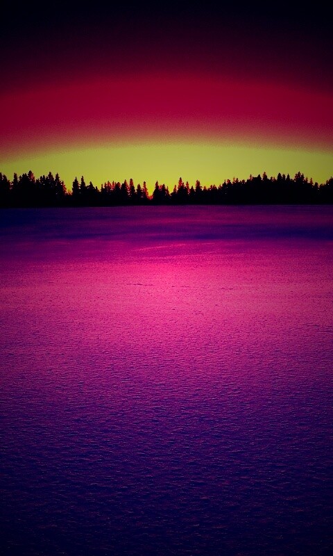 Восход над заснеженным лесом обои