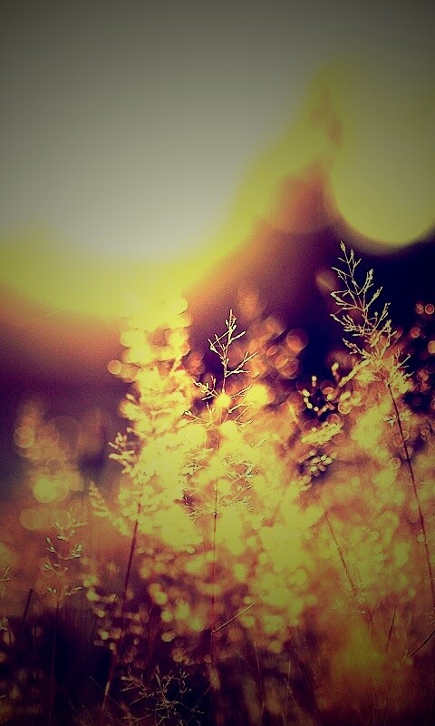 Посмотри на этот мир обои