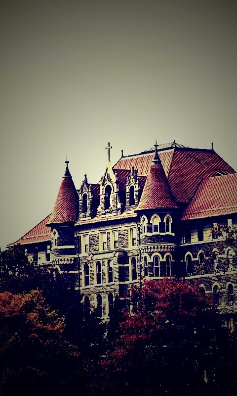 Колледж обои