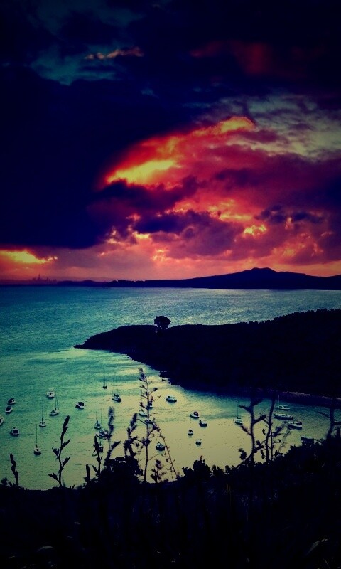 Waiheke Island, New Zealand обои