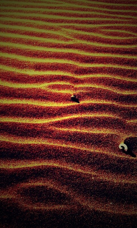 Песок и раковины обои