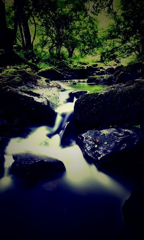 Речной поток в лесу обои