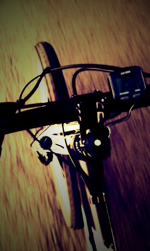 Катание на велосипеде обои