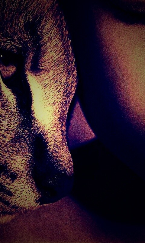 Человек и природа обои