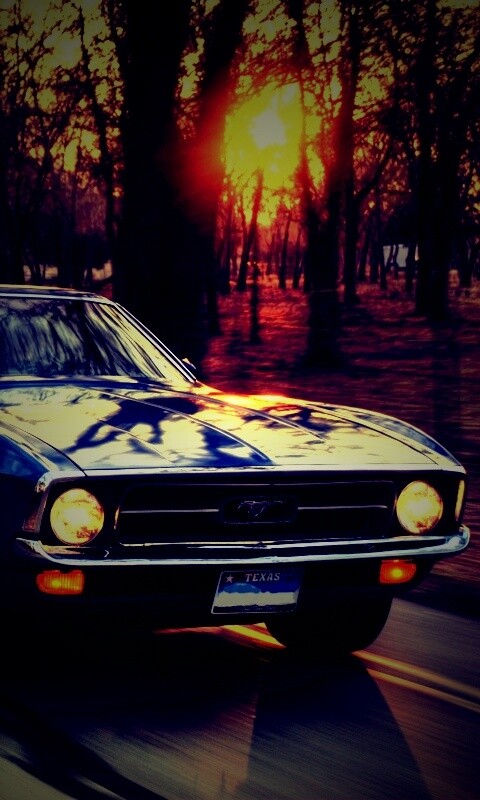 Мустанг обои