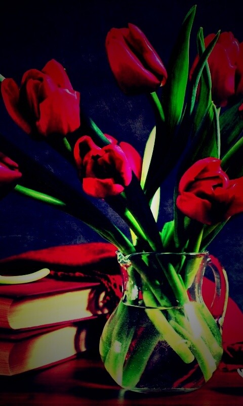 Букет красных тюльпанов обои