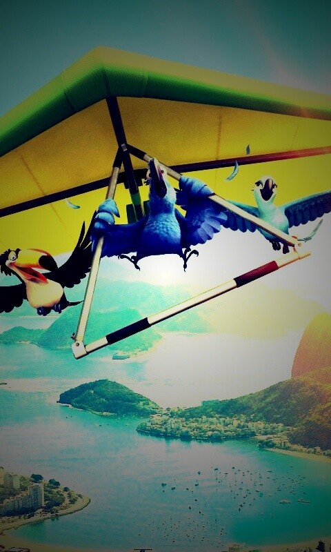 Герои мультфильма Рио обои