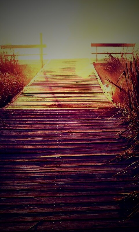 Выход к реке обои