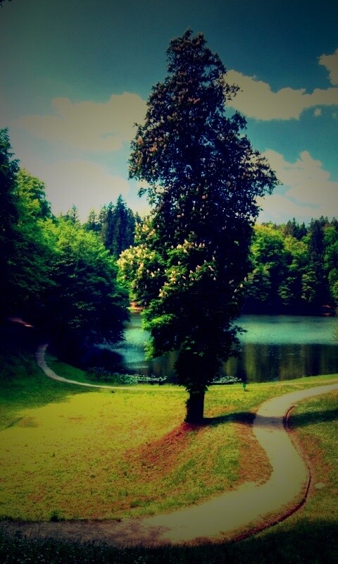 Прекрасная природа обои