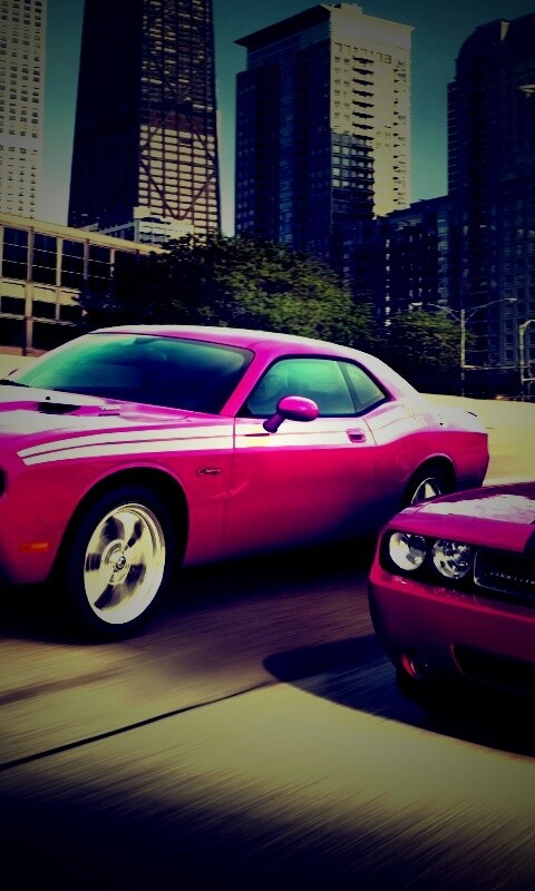 Два розовых мускулкара обои