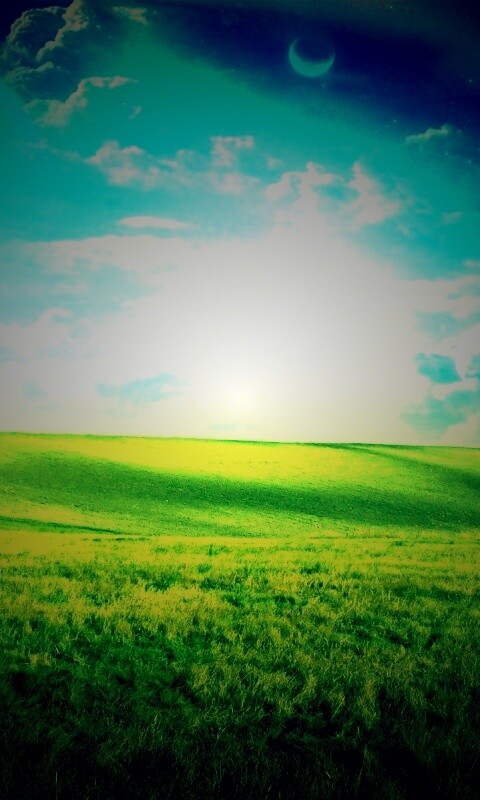 Луг на другой планете обои