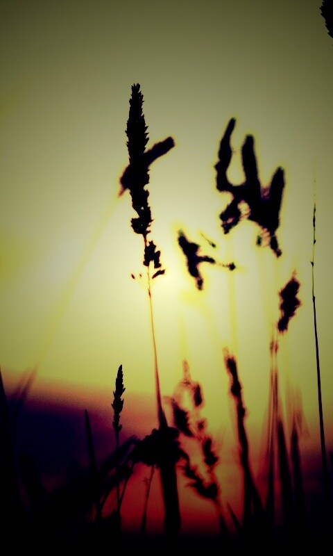 Дыхание природы обои