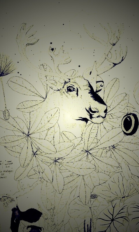 Животные на рабочий стол Apple обои