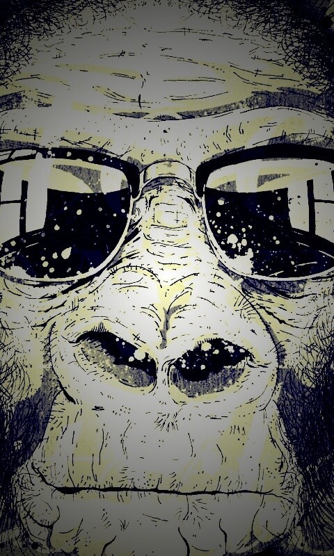 Макака в очках обои