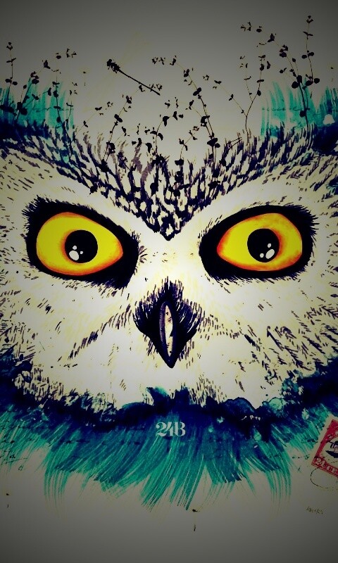 Обои сова для mac book обои