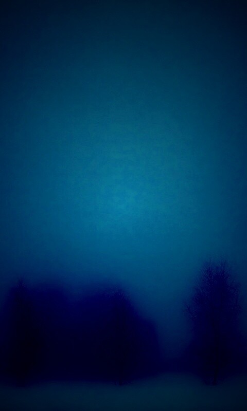 Деревья в тумане обои