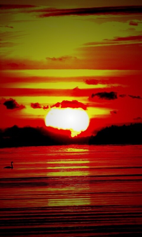 Великолепный рассвет обои