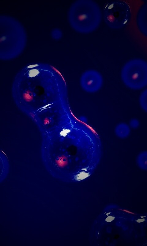 Деление обои