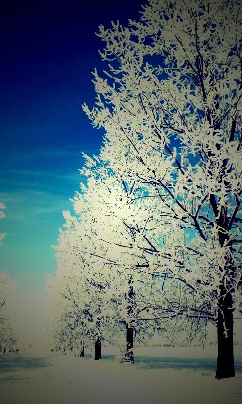 Снежная долина обои