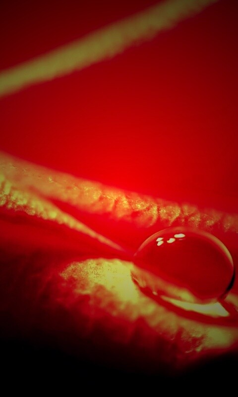 Капелька обои