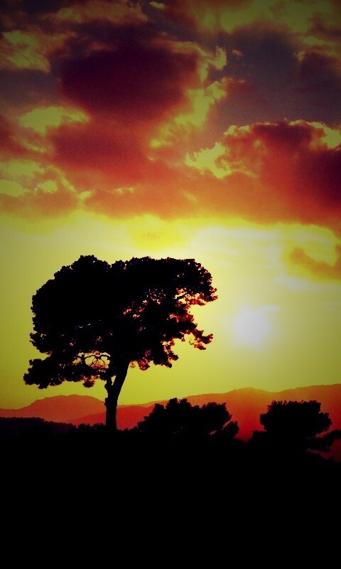 Закат над холмами обои