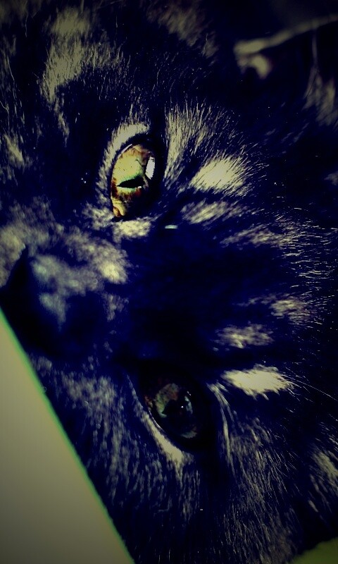 Глаза и уши обои