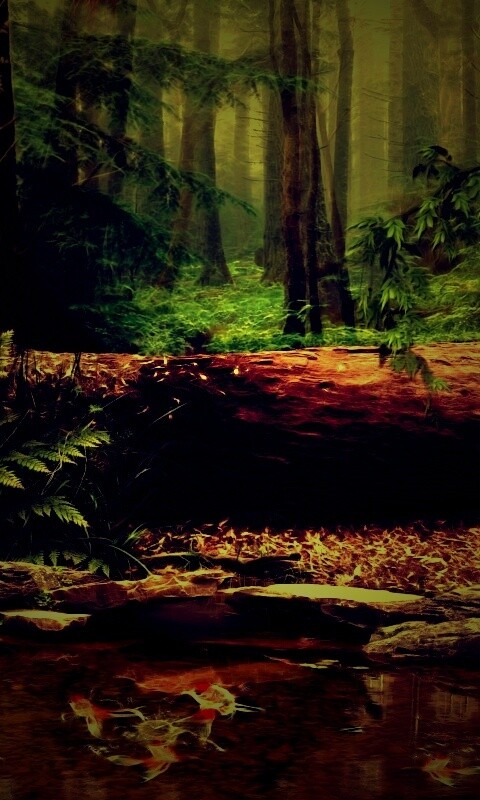 Лесной пейзаж обои