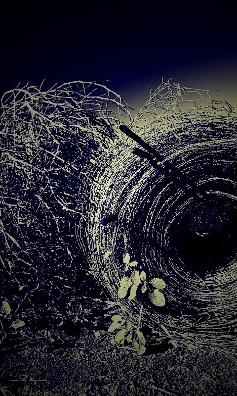 Клубок сена обои