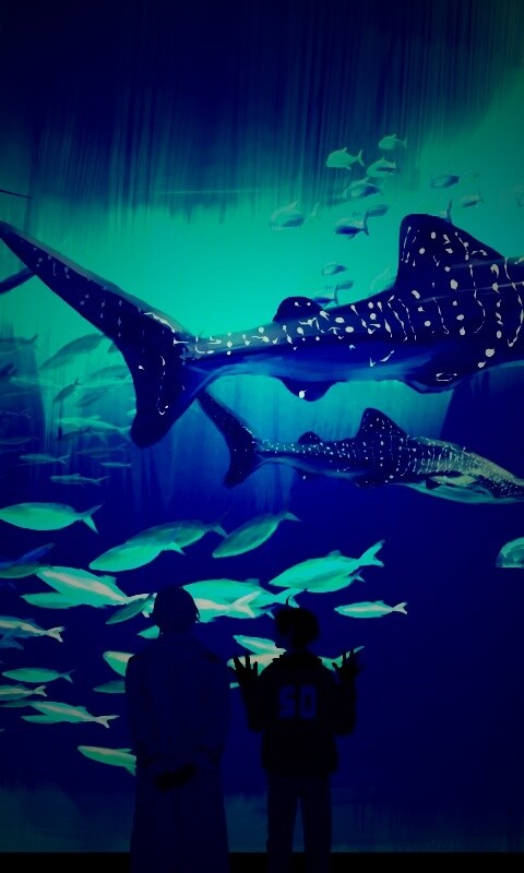 Двое в океанариуме обои