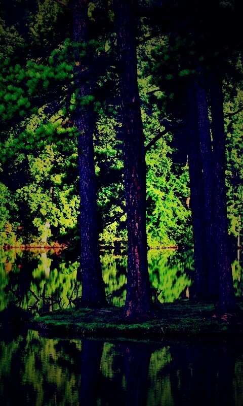 Островок посреди озера обои