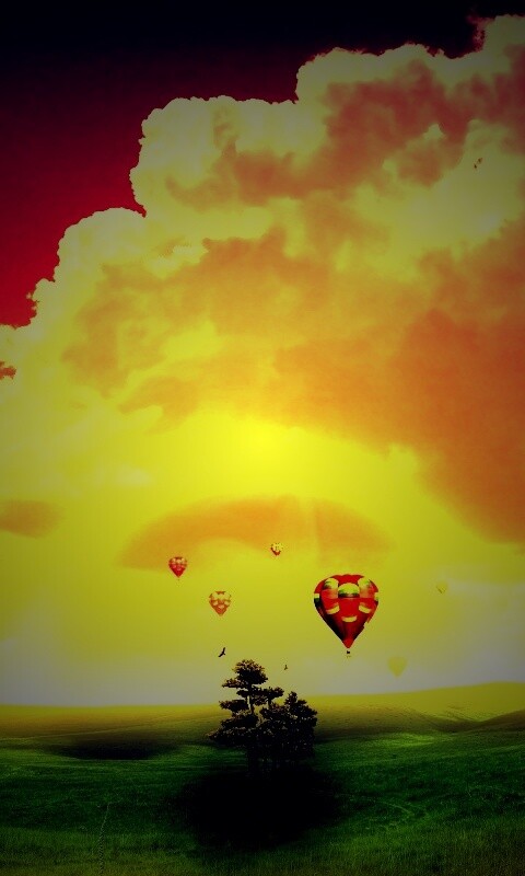 Мечты о полёте обои