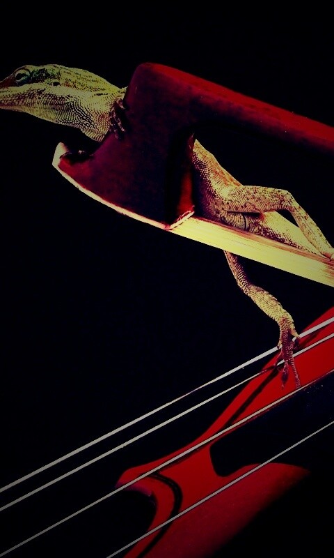 Ящерка на виолончели обои