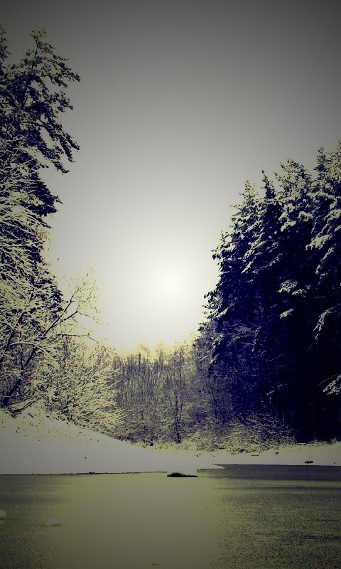 Зимняя дорога обои