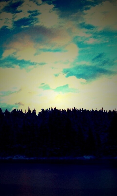 Лес на озере обои