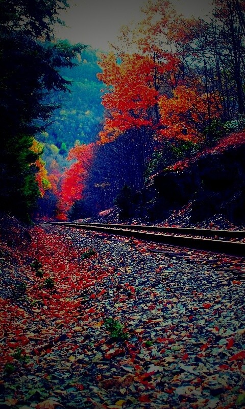 Железная дорога в скалистой местности обои