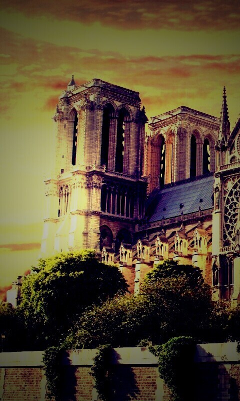 Собор парижской Богоматери обои