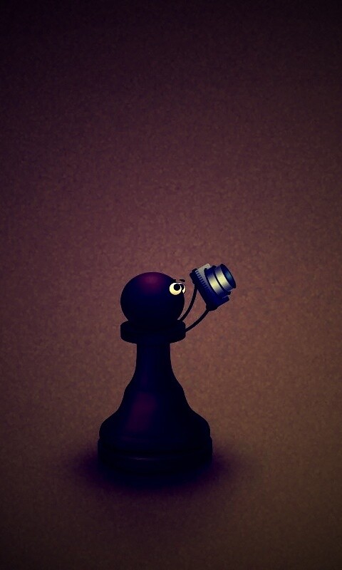 Пешка фотографирует короля обои
