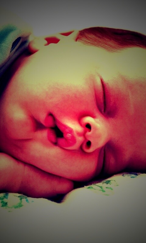 Спящая прелесть обои