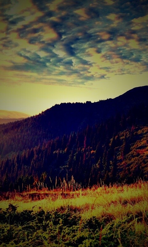 Предгорье обои