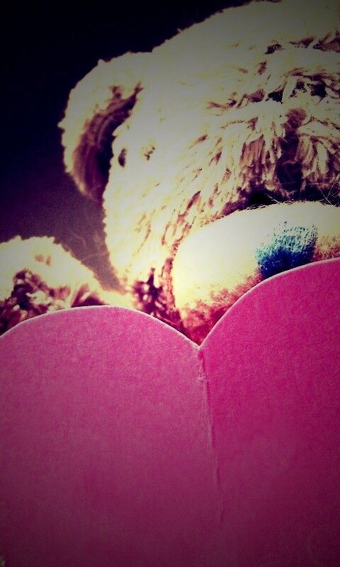 Мишка с сердцечком обои