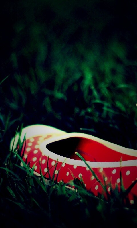 Красные тапки в горошек обои