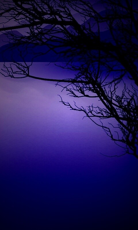 Ветка над вечерним озером обои